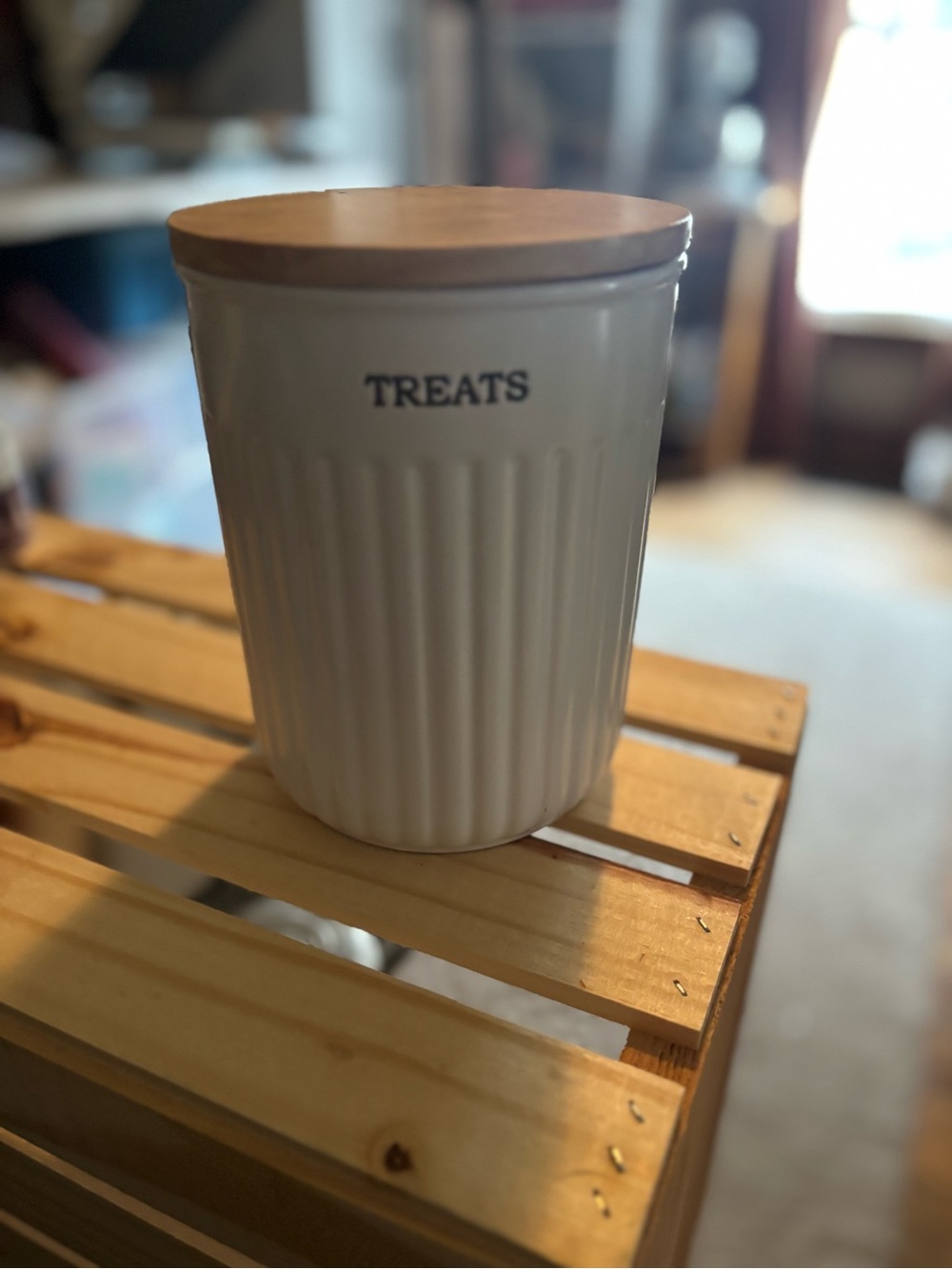 Treats Ceramic Canister with Wood Lid - White